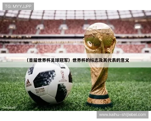 从首届到最新一届,全面解析世界杯冠军与亚军的荣耀与变迁