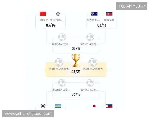 2026年世界杯48支球队名额分配方案对亚洲足球发展的促进作用与挑战分析